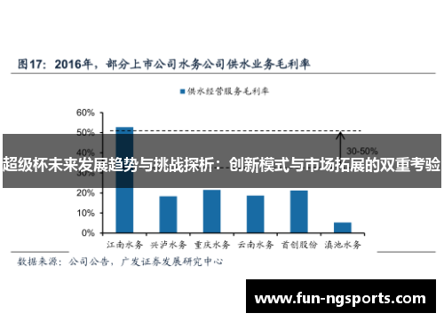 超级杯未来发展趋势与挑战探析：创新模式与市场拓展的双重考验