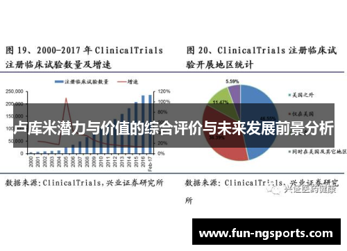 卢库米潜力与价值的综合评价与未来发展前景分析